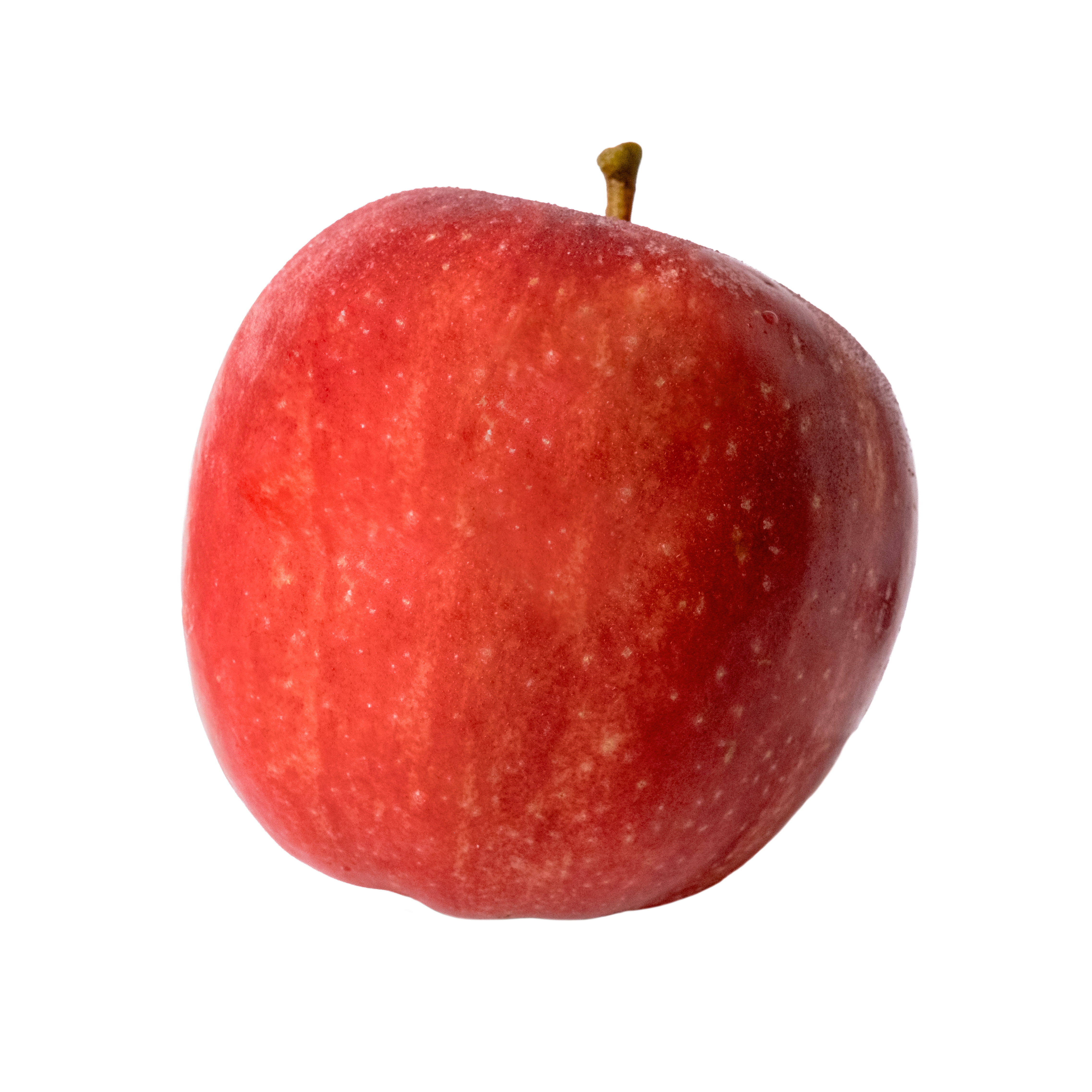  Poolse appel